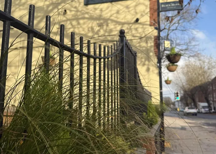 Mini-hôtel The Black Horse