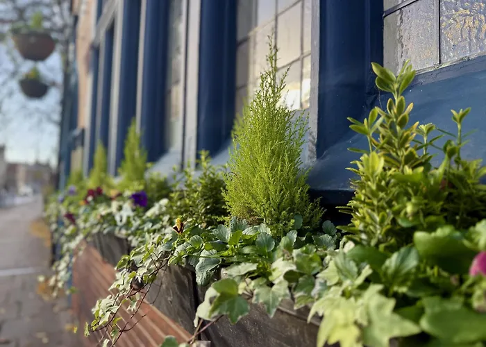 Mini-hôtel The Black Horse